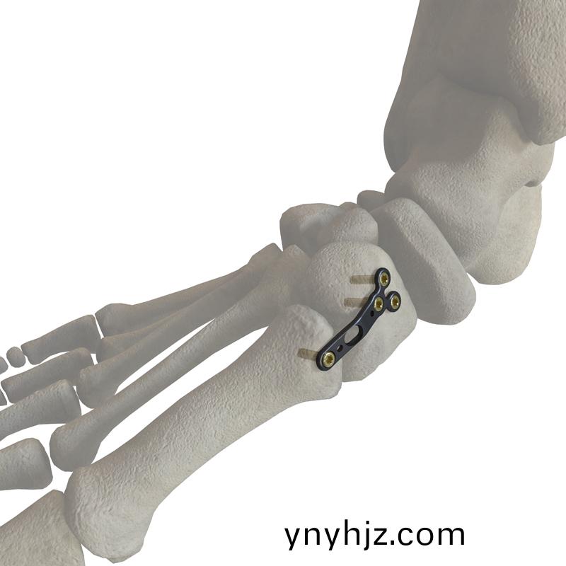 https://ynyhjz.com/uploadfiles/211.149.195.244/webid531/source/201706/149801444098.jpg